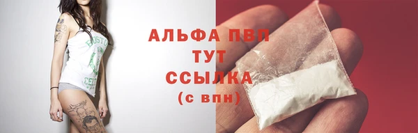 СК Белокуриха