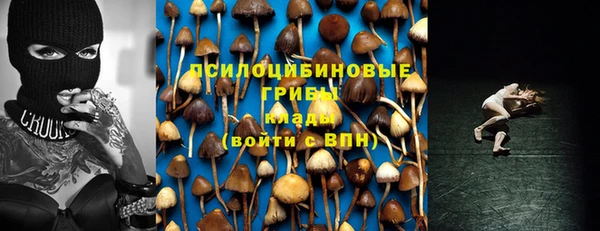 Альфа ПВП Беломорск